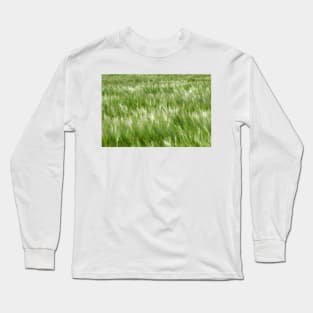 Barley being blown in the wind - Yorkshire, UK Long Sleeve T-Shirt